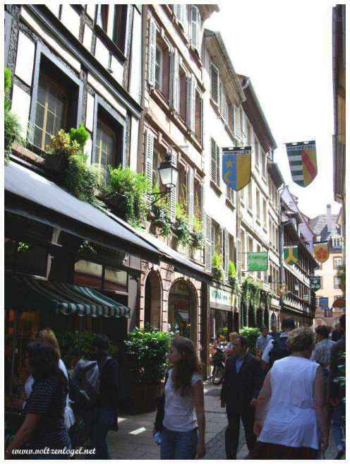 Le centre historique de Strasbourg ; Le quartier de la cathédrale
