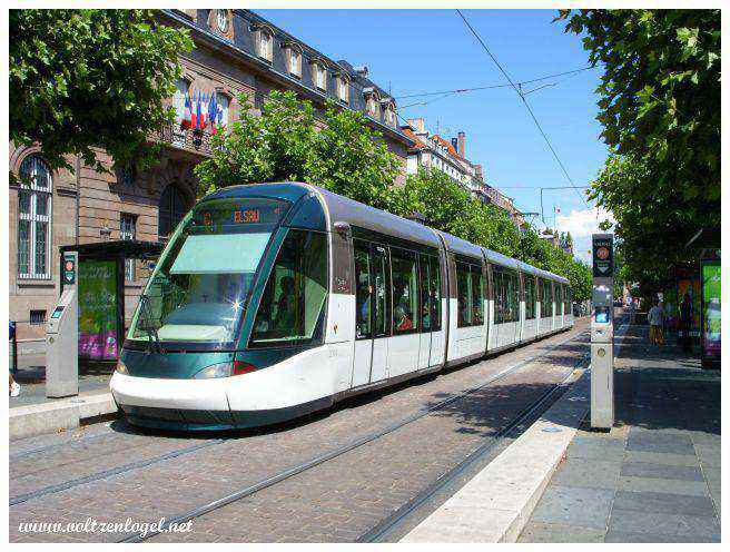 Le Tram Place Broglie à Strasbourg ; Transport en commun strasbourgeois