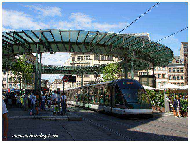 Arrêt tram Homme de Fer ; L'incontournable tramway de Strasbourg