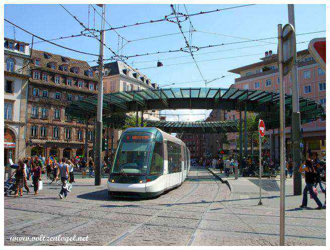 Croisements des tramways ; Station Homme de Fer à Strasbourg