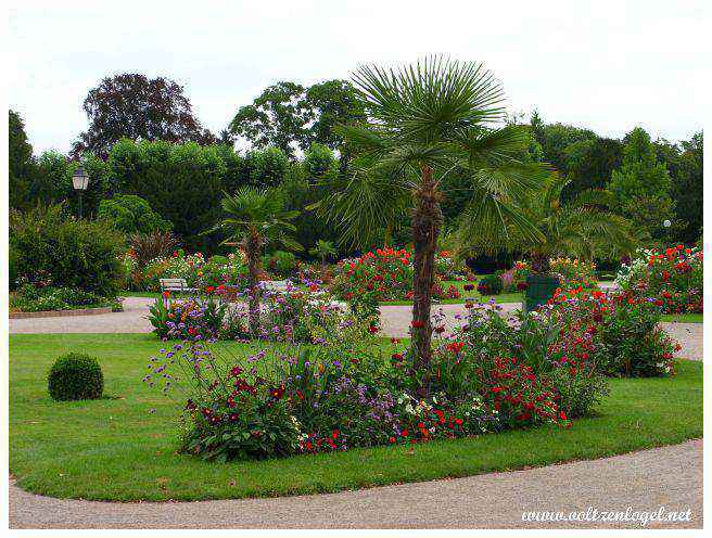 Zoo gratuit du Parc de l'Orangerie : rencontrez la faune locale et exotique.