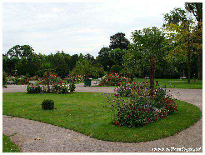 Promenade ombragée au Parc de l'Orangerie : charme et histoire de Strasbourg.