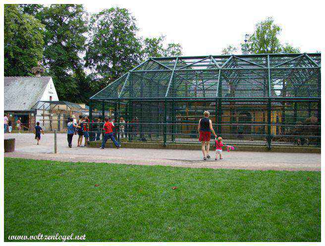 Orangerie de Strasbourg