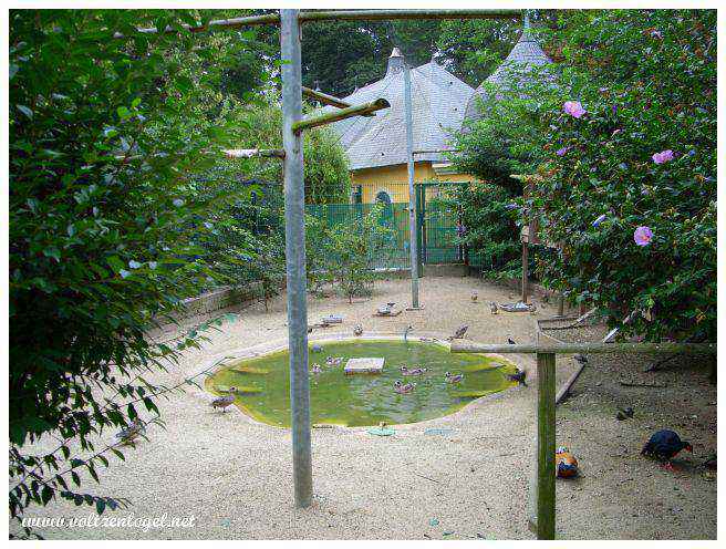 Détente au cœur de la nature : Pelouses verdoyantes au Parc de l'Orangerie.