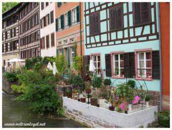 Maison à colombage ; Terrasse fleurie ; Quartier Petite France