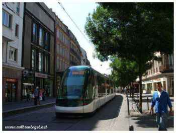 Tramway transport en commun strasbourgeois