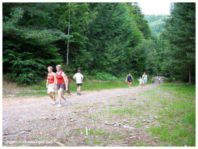 Wangenbourg-Engenthal en Alsace