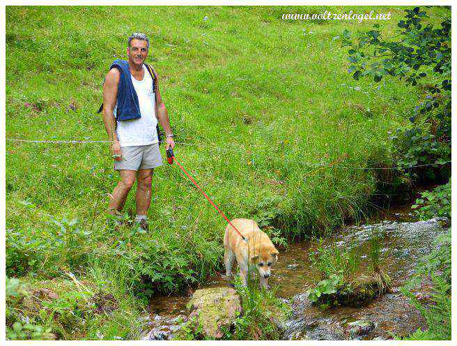 Wangenbourg-Engenthal en Alsace