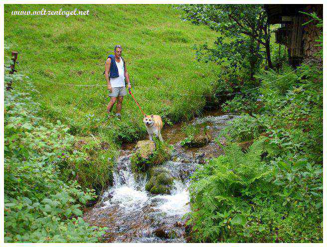 Wangenbourg-Engenthal en Alsace