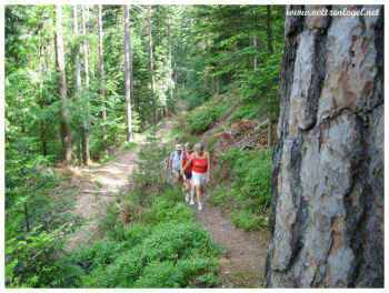 Informations touristiques et carte des randonnées dans les Vosges