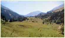 Les montagnes tyroliennes du Berwangertal