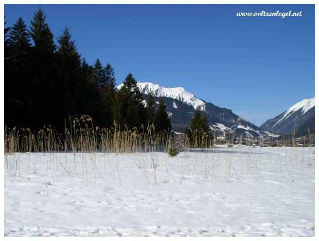 La Tiroler Zugspitz Arena. Promenade dans le Massif Alpin du Zugspitze à Lermoos