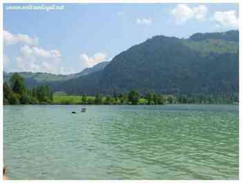 Badesee Walchsee. Le meilleur du lac de baignade Walchsee. Der Walchsee ein Bade-Paradies