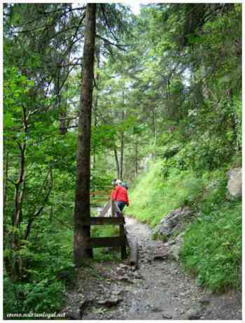 La Wolfsklamm à Stans. Le meilleur des cascades des gorges de la Wolfsklamm au Tyrol