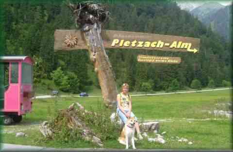 La ferme auberge Pletzach-Alm à Pertisau