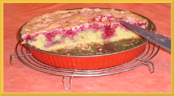 Gâteau aux Groseilles ou Framboises, dessert Tyrolien