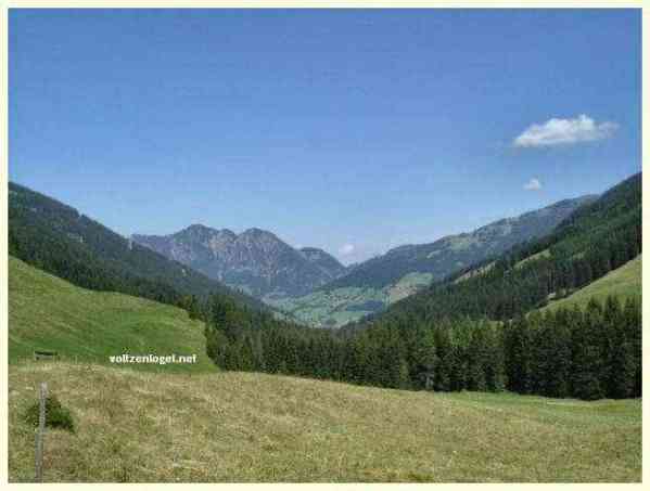 Promenade dans la vallée de l'Alpbach ( L'Alpbachtal im Tirol )