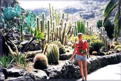 Panorama du Jardin de Cactus au Palmitos Park
