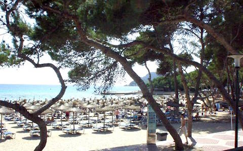 Vue panoramique d'une plage à Paguera