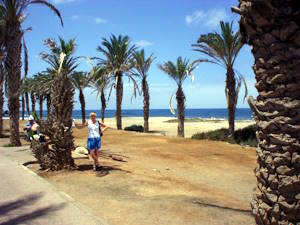 Vue panoramique sur une plage de Tenerife