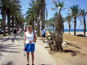 Excursion en montagne à Tenerife