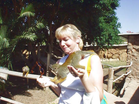 Sentier verdoyant au Parc Las Aguilas