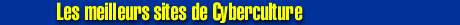 Bannière illustrant la cyberculture avec des éléments technologiques et numériques