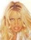 Pamela Anderson en photo