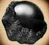Logo Tradition Trufficole avec truffes du Périgord