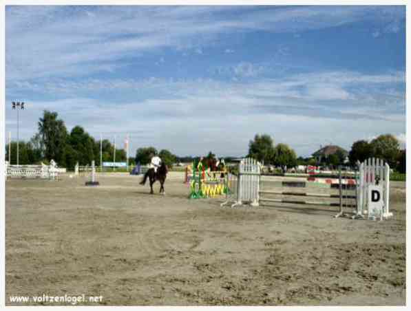 Equitation Concours Saut d'Obstacles