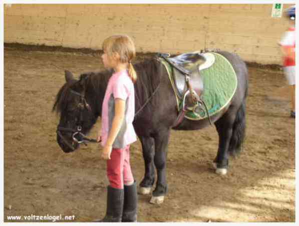 Trouver le cours d'équitation adapté pour votre enfant